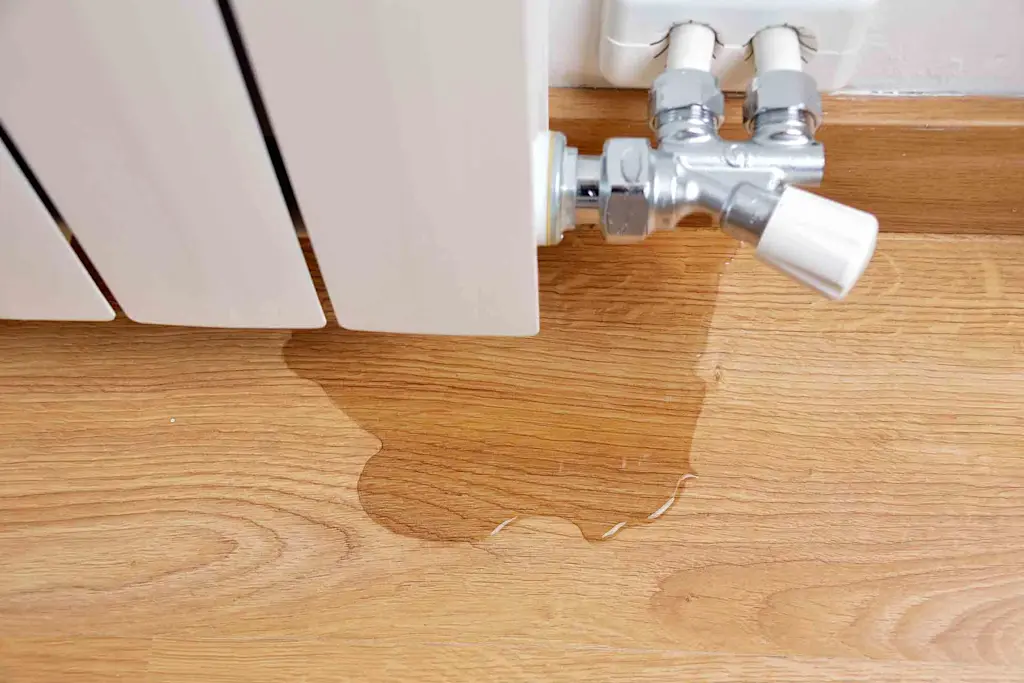 DIY water leak detection methods